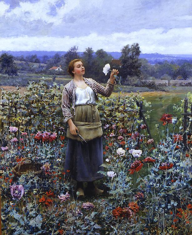 Daniel Ridgeway Knight Picking Poppies oil painting picture